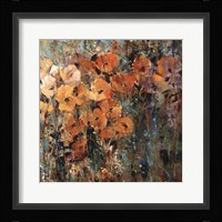 Amber Poppy Field II Fine Art Print