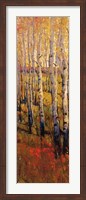 Vivid Birch Forest I Fine Art Print