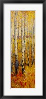 Vivid Birch Forest II Fine Art Print