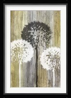 Rustic Garden II Fine Art Print