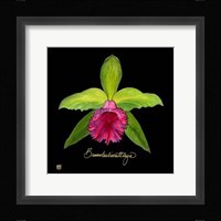 Vivid Orchid I Fine Art Print