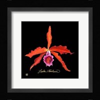 Vivid Orchid II Fine Art Print