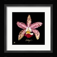 Vivid Orchid III Fine Art Print