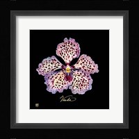 Vivid Orchid V Fine Art Print