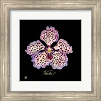 Vivid Orchid V Fine Art Print