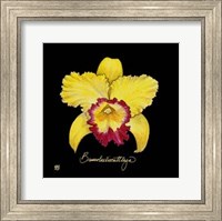 Vivid Orchid VII Fine Art Print