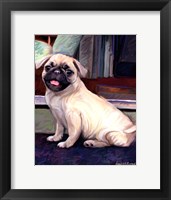 Baby Pug Fine Art Print