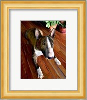 Bull Terrier Down Fine Art Print