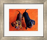 Double Dachsies Fine Art Print