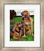 Bloodhounds Fine Art Print