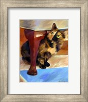 Calico Face Fine Art Print