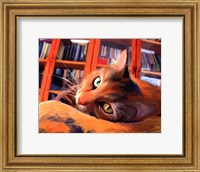 Kitty that Reads Fine Art Print