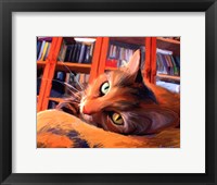Kitty that Reads Fine Art Print