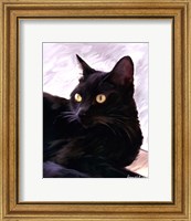 Black Cat Portrait Fine Art Print