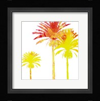 Sunny Palm I Fine Art Print