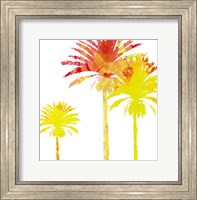 Sunny Palm I Fine Art Print
