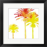 Sunny Palm I Fine Art Print