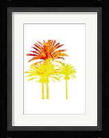 Sunny Palm II Fine Art Print