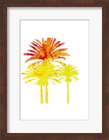 Sunny Palm II Fine Art Print