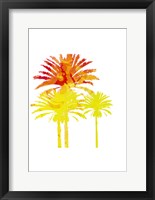 Sunny Palm II Fine Art Print