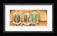 Spice Jars I Framed Print
