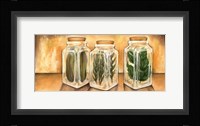 Spice Jars II Framed Print