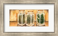 Spice Jars II Fine Art Print