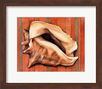 Shell on Stripes I Fine Art Print