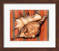 Shell on Stripes II Fine Art Print