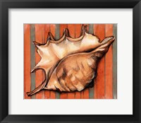 Shell on Stripes II Fine Art Print