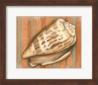 Shell on Stripes III - light Fine Art Print