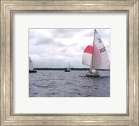 Water Racing IV Fine Art Print