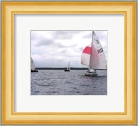 Water Racing IV Fine Art Print