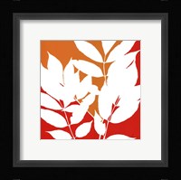 Split Stem III Fine Art Print