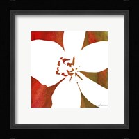 Peace Flowers II Fine Art Print