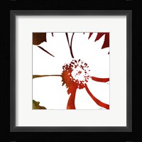 Peace Flowers III Fine Art Print