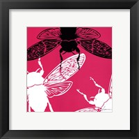 Pop Fly II Fine Art Print