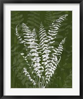 Jewel Ferns I Fine Art Print
