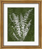 Jewel Ferns I Fine Art Print