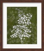 Jewel Ferns III Fine Art Print