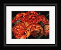 Old World Tulips II Fine Art Print