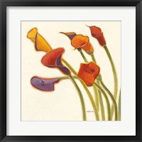 Callas in the Wind II Framed Print