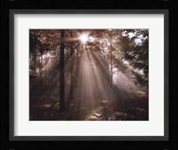 A New Day I Fine Art Print