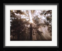 A New Day II Fine Art Print