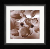 Dogwood Fine Art Print