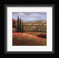 Tuscan Cypress I Fine Art Print