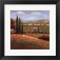 Tuscan Cypress I Fine Art Print