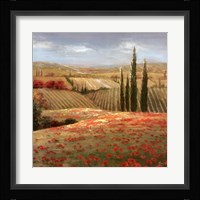 Tuscan Cypress II Framed Print