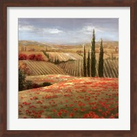 Tuscan Cypress II Fine Art Print