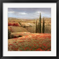 Tuscan Cypress II Fine Art Print